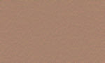 champagner beige